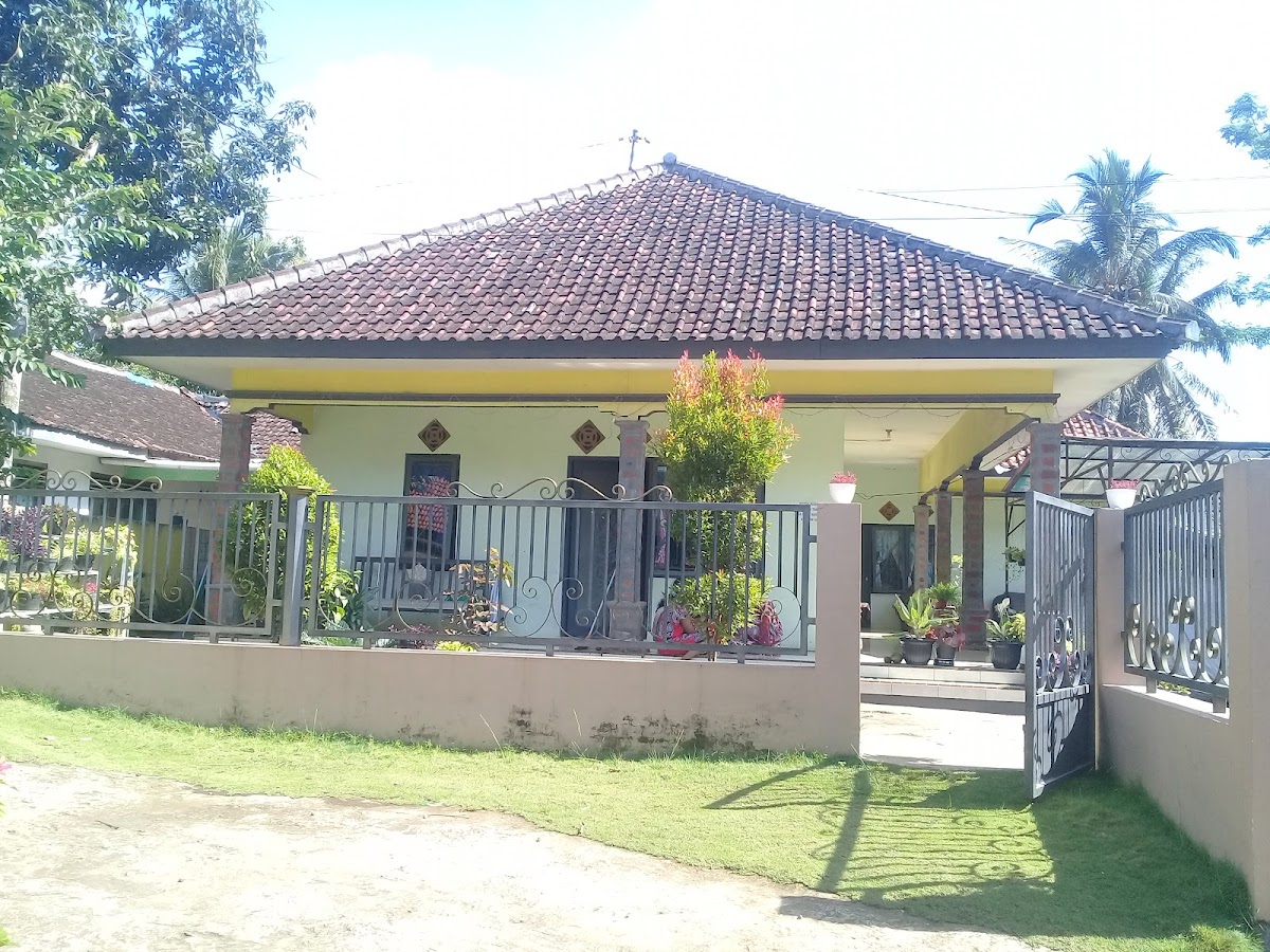 Novi Msi Jatiroto