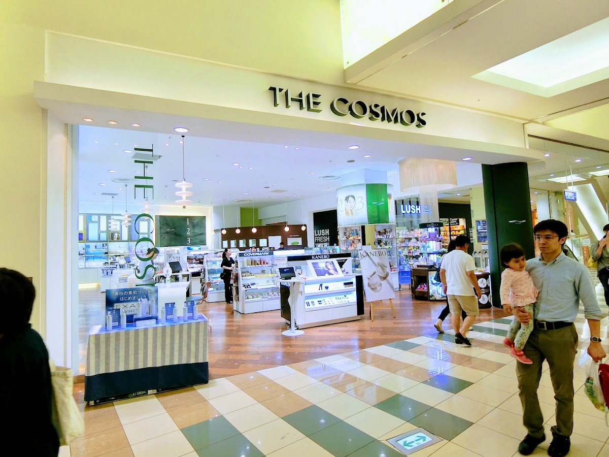 THE COSMOS