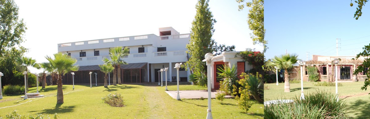 NATUROM MEDINA