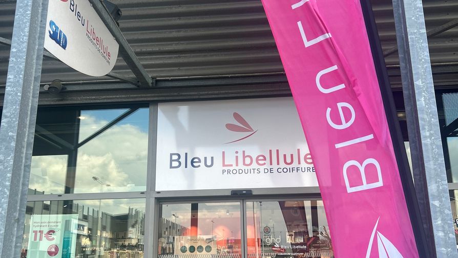 Bleu Libellule La Roche sur Yon