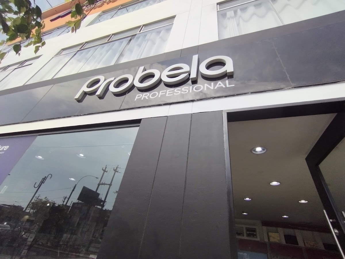 Probela Universitaria