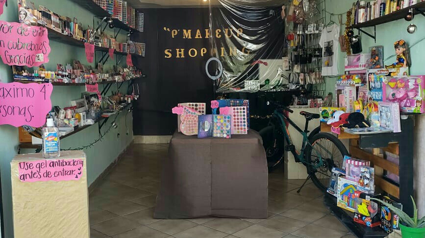 PAULA’S COSMETICS