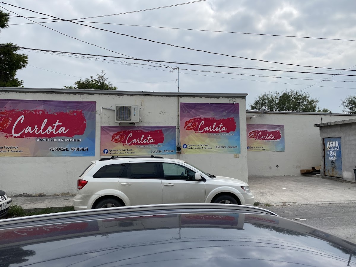Carlota Cosmeticos & Novedades