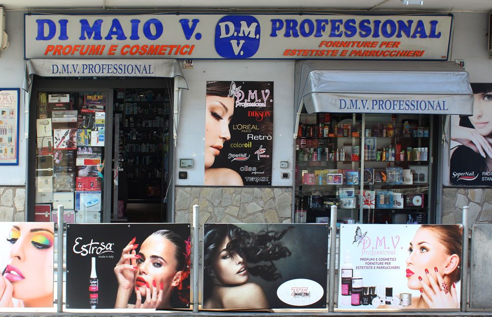 DMV Professional