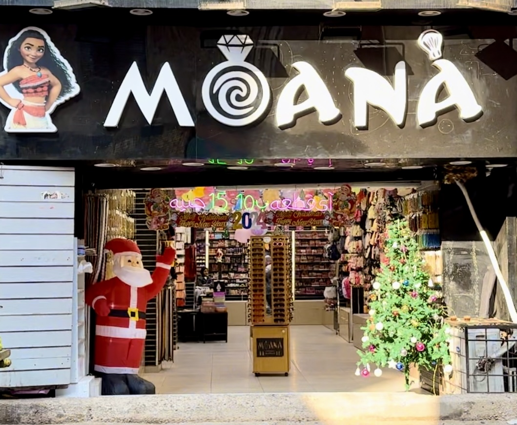 Moana Accessories & Makeup