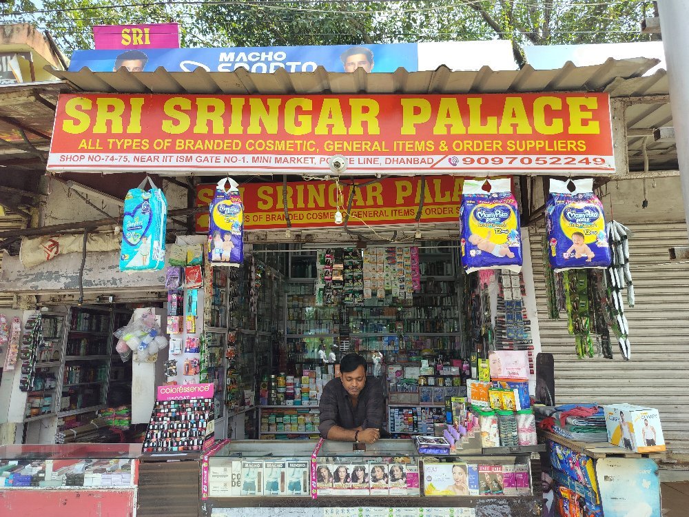 SRI SRINGAR PALACE