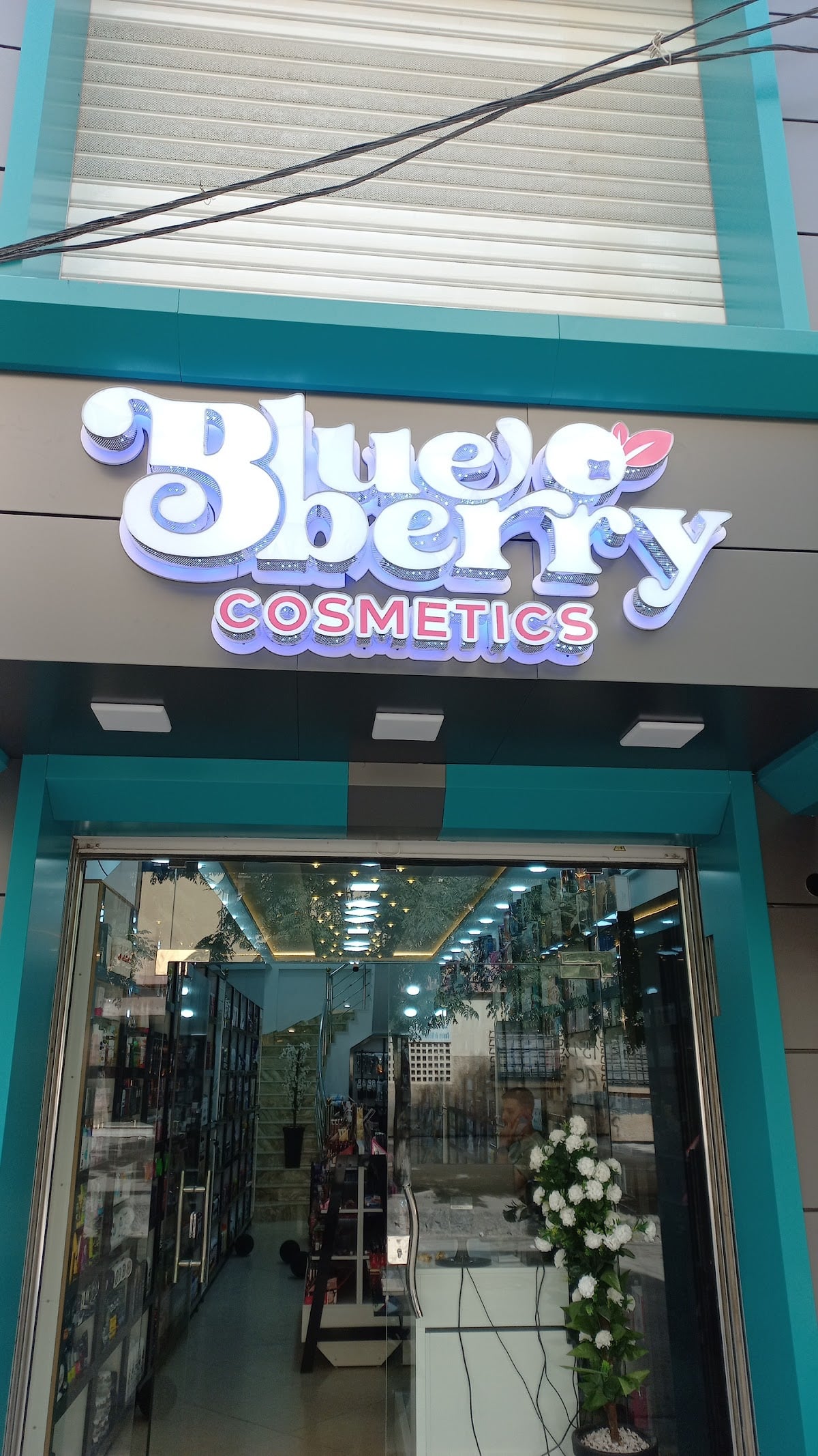 Blueberry Cosmetics
