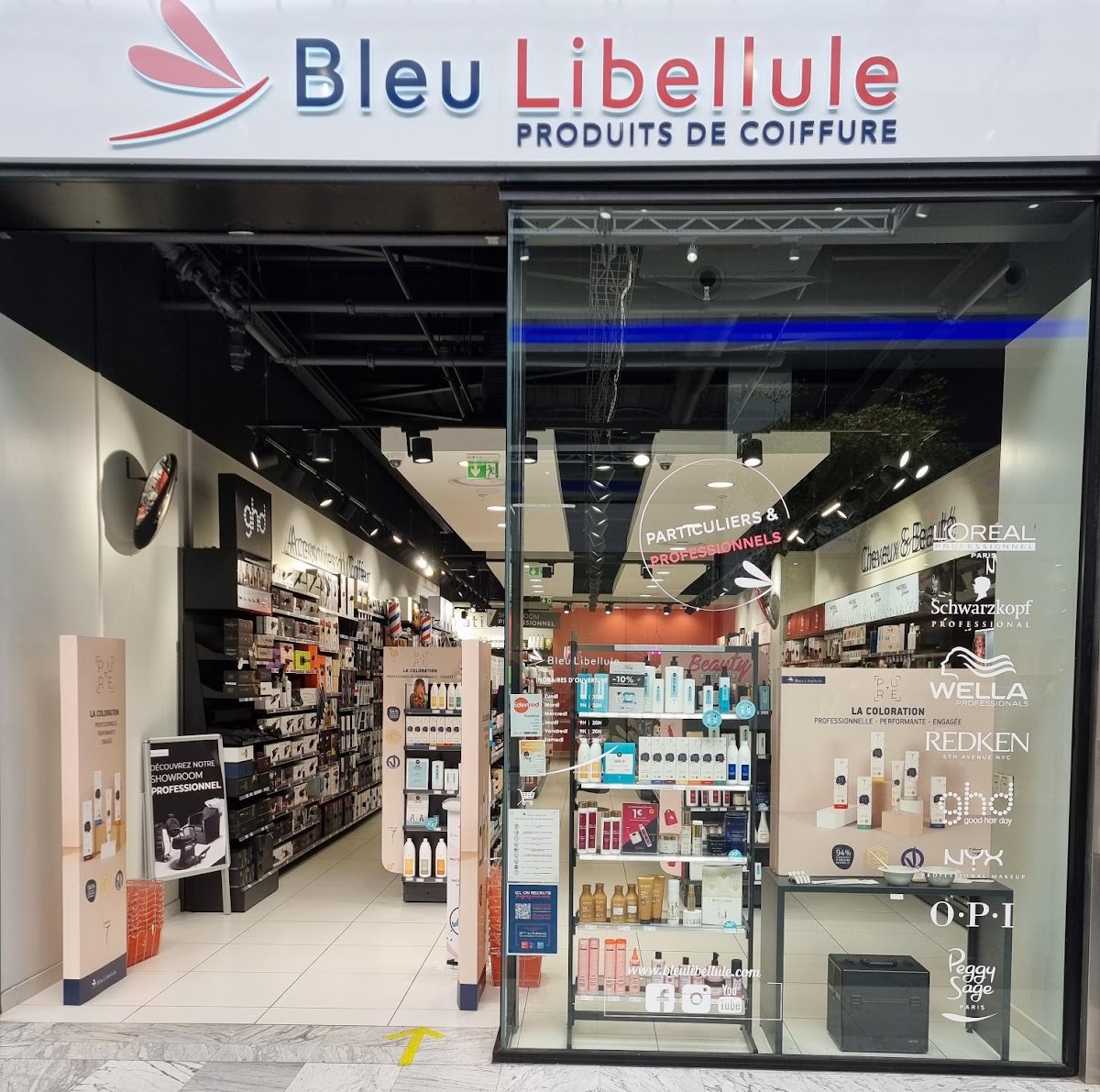 Bleu Libellule Pau